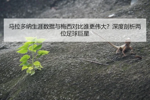 ma-la-duo-na-sheng-ya-shu-ju-yu-mei-xi-dui-bi-shui-geng-wei-da-shen-du-pou-xi-liang-wei-zu-qiu-ju-xing-2-737.jpg
